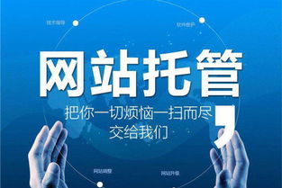仲恺企业网站开发设计公司 打造高端营销型网站建设品牌，助力企业营销策划升级
